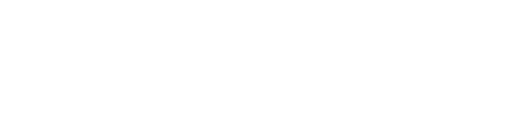 FLINC Solutions